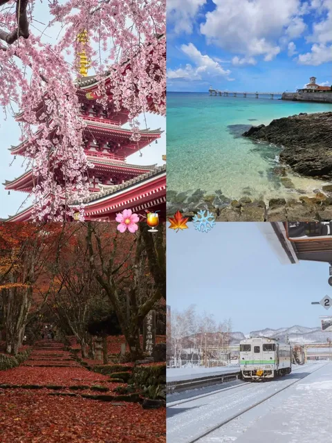 🌏🗼 The Ultimate Japan Travel Guide: A Must-Read for First-Timers‼️