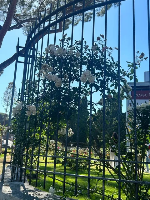 🌹 Rome Municipal Rose Garden 🌹