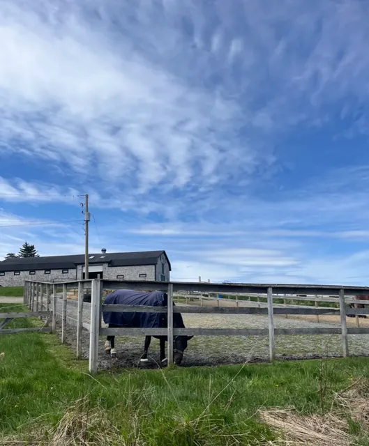 Salt Marsh Trail: Halifax’s Hidden Coastal Sanctuary  