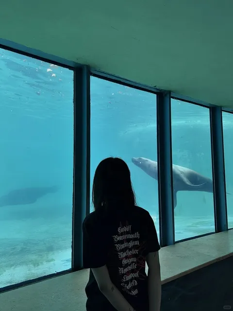 🐾 | Fővárosi Állat- és Növénykert