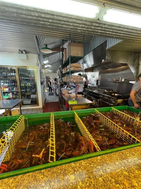 Food Recommendation for Acadia National Park (Portland Area) ‼️