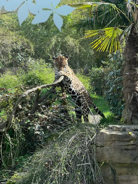 Seattle Woodland Park Zoo