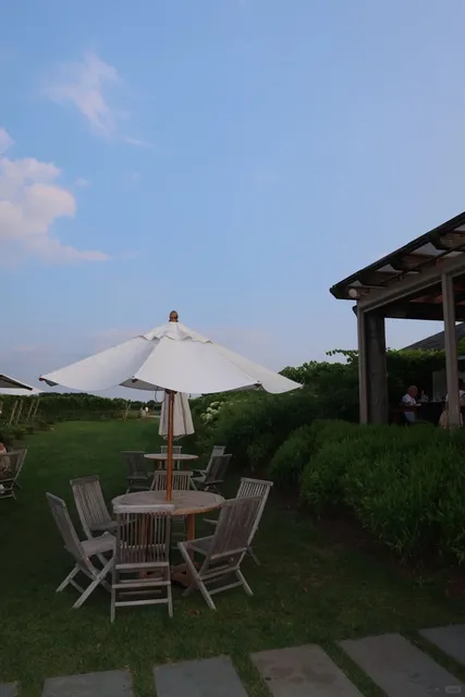 New York Surroundings 🌿