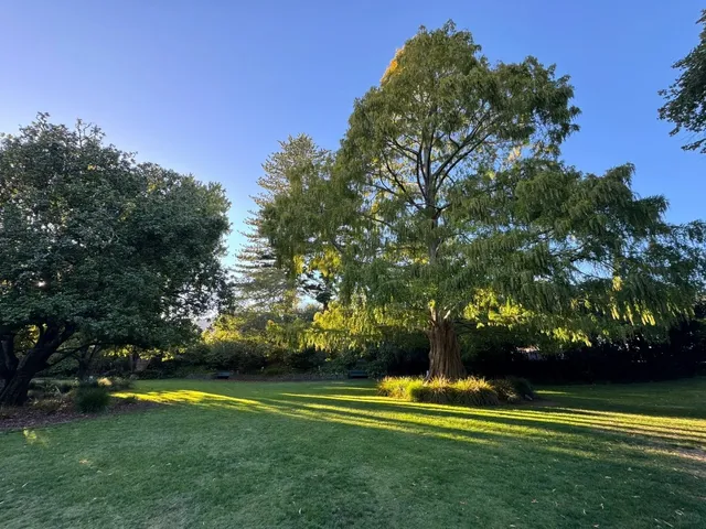 🌿 Weekend Getaway | 3 Days in Nelson, NZ 🧘‍♀️