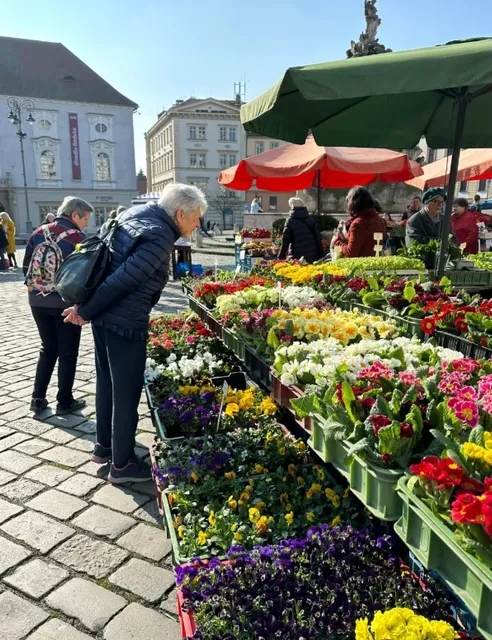 Understated Brno: Experience a Different Side of Czechia