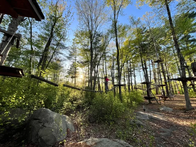 Boston Weekend: Jungle Tree Climbing and Zip-lining 🌳