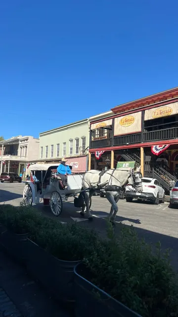 🇺🇸 Weekend Getaway in Sacramento, CA 🏛️🍃