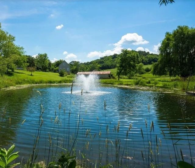 A Healing Mountain Cabin!