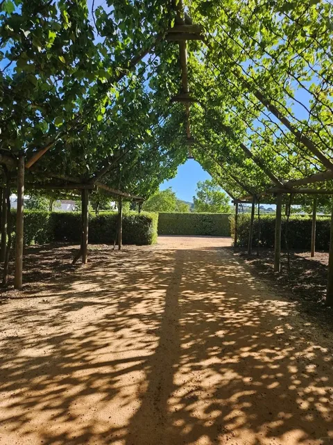 A hidden gem of a winery, surrounded by vineyards and orchards