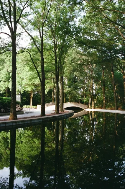 A Hidden Island Only Locals Know About in DC 🏝️🔍