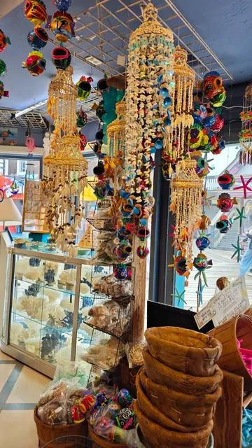 🌉 Pier 39 San Francisco – Ultimate First-Timer’s Guide 🦀