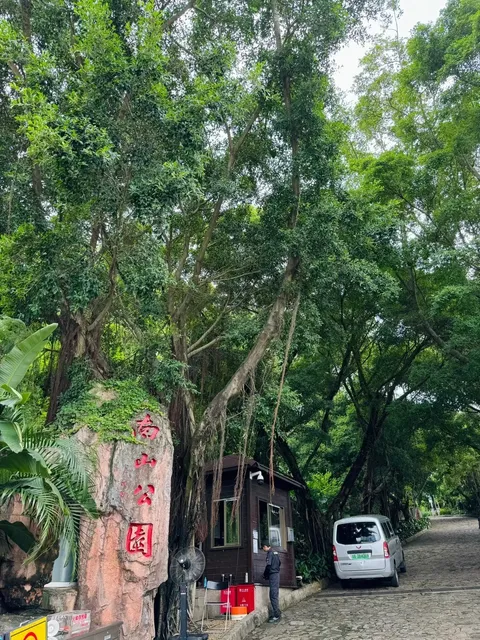 🌲 Nanshan Park: More Than Just a Park—It’s a Mountain Adventure! 🏞️