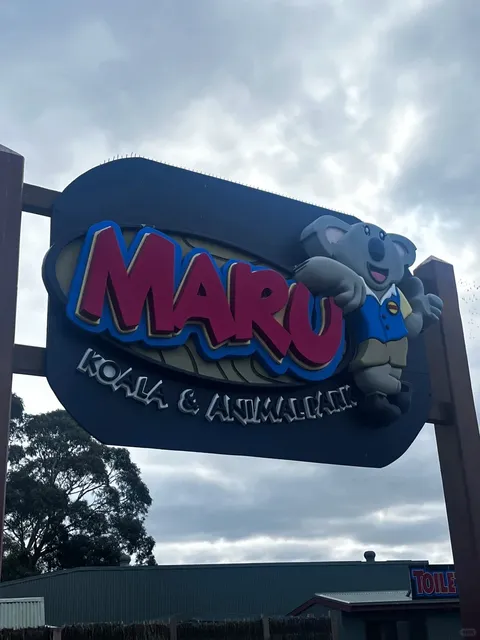 🇦🇺 Puffing Billy Steam Train & Penguin Parade Day Tour