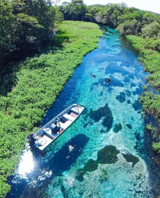 Bonito: Brazil's Hidden Natural Wonder