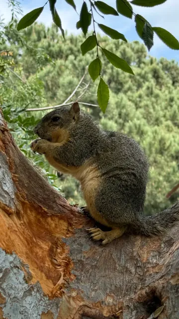 🎣 Legg Lake - Los Angeles' Premier Fishing Park 🎣  