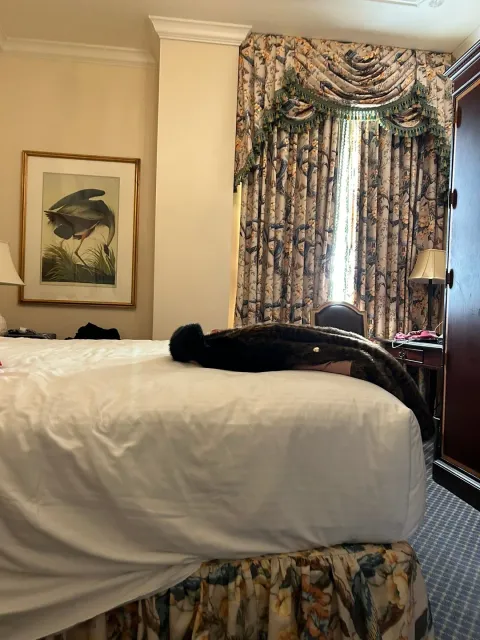 Great Hotel Stay. Amazing Staff! 🌟🏨