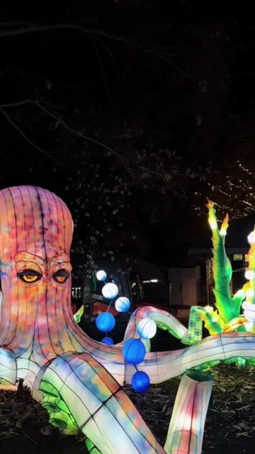 Washington D.C.'s Animal Adventure: Smithsonian National Zoolight