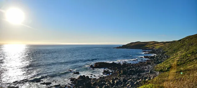 🌊 South Coast Adventure: Invercargill & Bluff