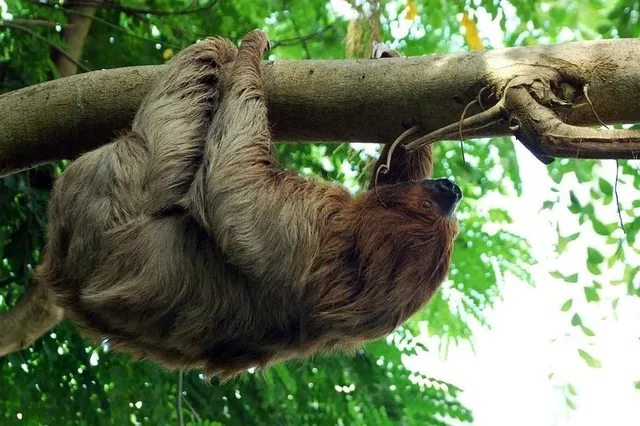 🌴 Houston’s Oceanfront Garden!