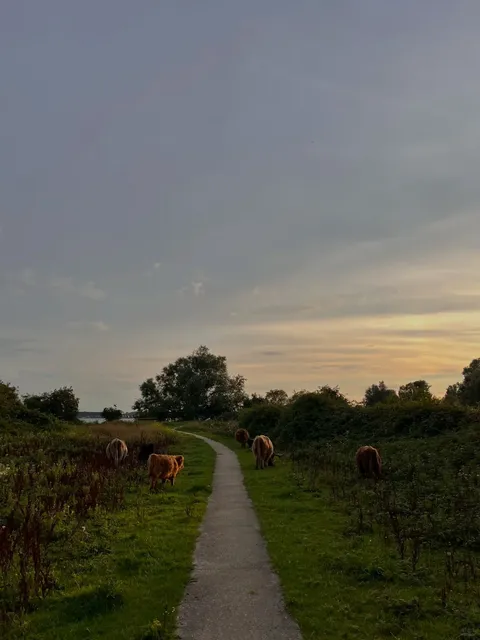 Almere, Netherlands | When the Sky Speaks (Ode to Sunset) 🌇✨