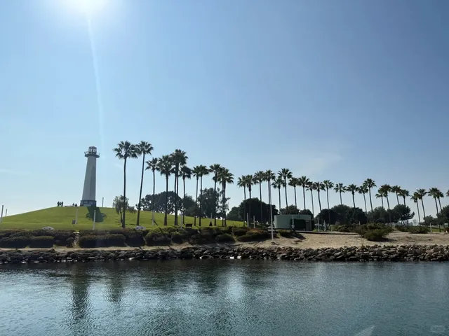 🇺🇸 Whale Watching Tour in Long Beach, LA 🐋