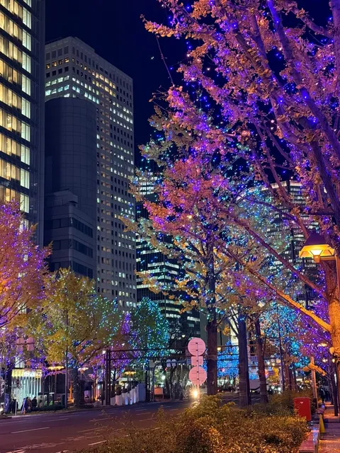  Osaka Christmas 🎄 Light Festival: An Explosion of Beauty 💥