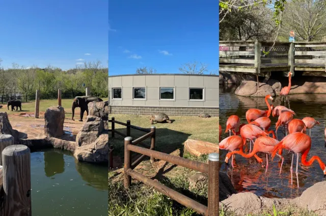 Oklahoma City Travel Guide: Hidden Gems in the Heart of America! 🌵