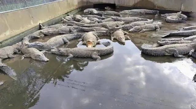 Explore the Seven Hells with the Beppu Pass 