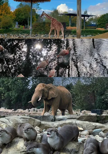 🇬🇧 Day Trip from London | Colchester Zoo Winter Visit ❄️