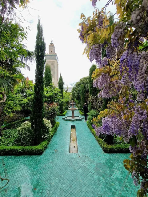 Wisteria Waterfall at the Great Mosque of Paris