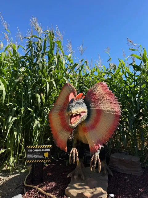 Hana Field 🎃 Pumpkin Patch ║ Go For It! 