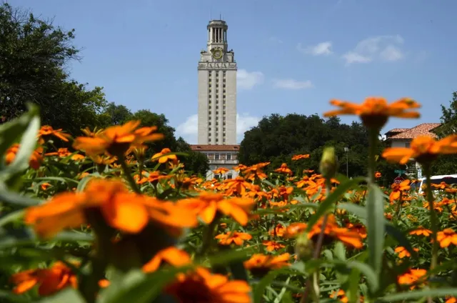 🥳 Ready to Soar at UT Austin? Here’s Why It’s Legendary! 🐮