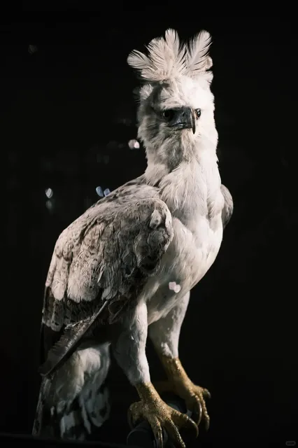 My favorite museum in Paris! 🌟