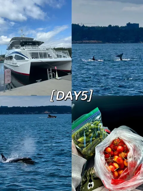 Seattle | 6 Days & 5 Nights Ultimate Travel Guide