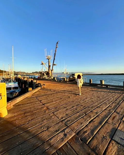 Where California's Soul Finds Its Weight in Ocean Depths​​ 🌊💫