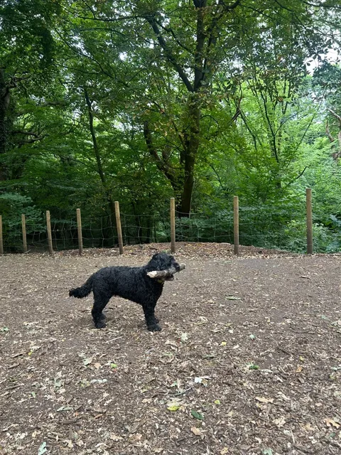 🇬🇧 London Weekend Stroll｜A Fairytale Forest Café！！！🌳