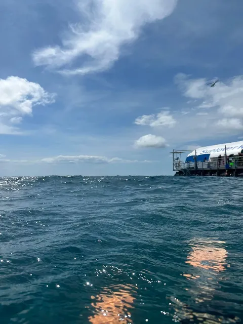 3-Day Cairns Travel Guide 🌴🐠