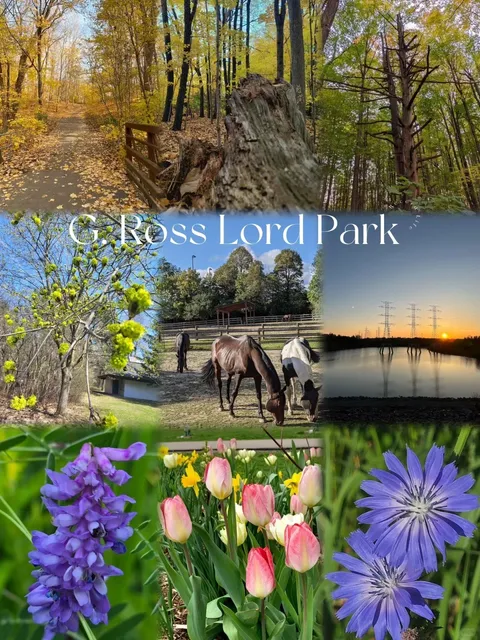 🇨🇦 Ultimate Spring & Summer Escape - G.Ross Lord Park 🌳