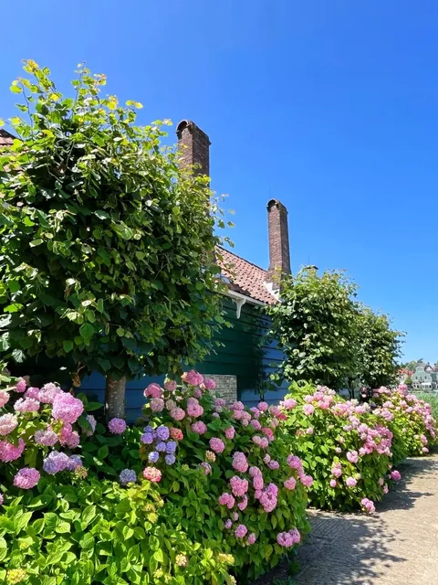 🇳🇱 Zaandam LEGO Town & Windmill Village | Transport & Attractions