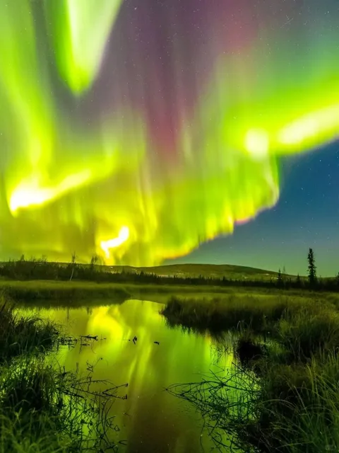 Alaska Luxury Small Group Tour