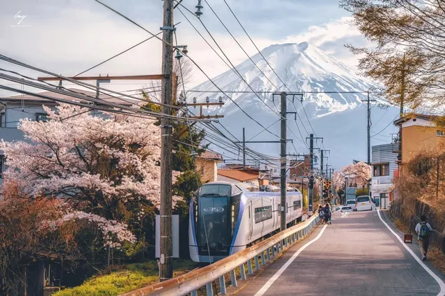 🌸 Osaka Department Stores and Drugstores Cashback Guide 🌸