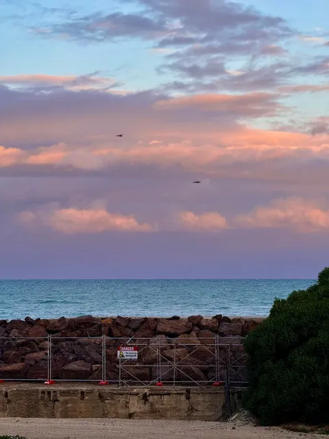 🇳🇿 New Zealand 15-Day Itinerary | 🦭 Dunedin - 🐧 Oamaru