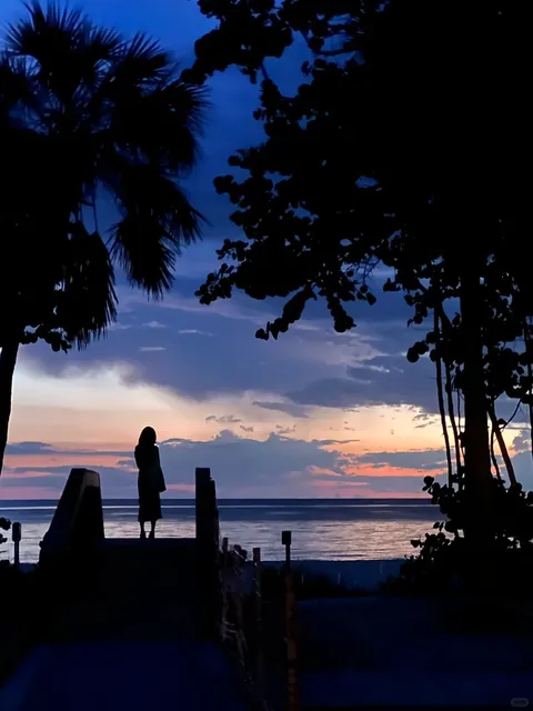 Naples, FL || Amidst the Streets, Toward the Sea