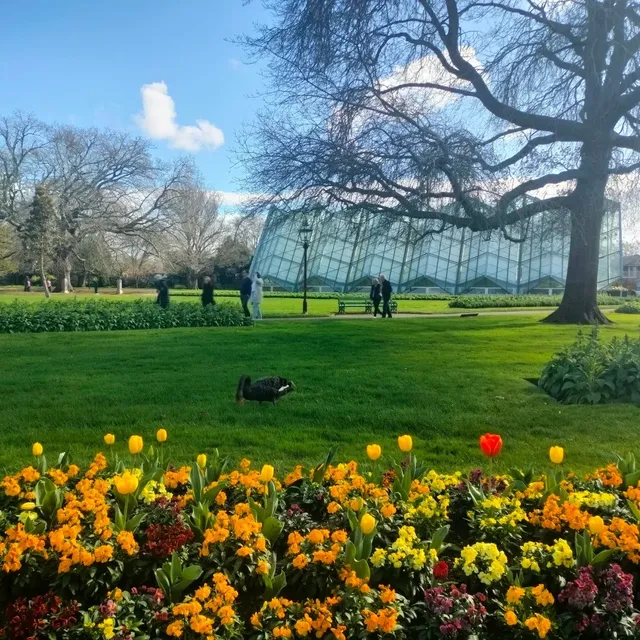 Day 2.3: Ballarat Botanical Gardens – A Serene Escape 🌿🦢