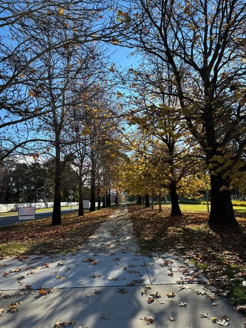 We love you, Canberra