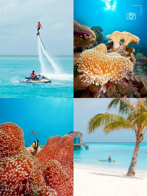 Maldives island guide--Cora Cora Maldives