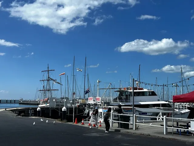 🇦🇺 Melbourne Day Trip: Geelong Getaway Guide!