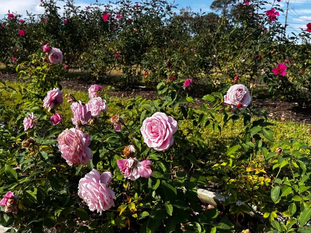 A Perfect Two-Day Autumn Getaway