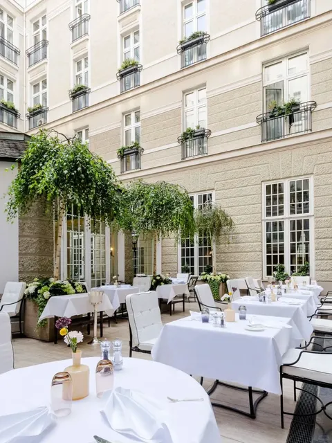 Savoring the Slow Pace of Life in Cologne City 🌿✨