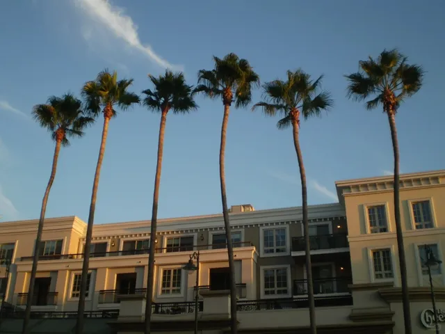 Americana Is Truly Gorgeous…